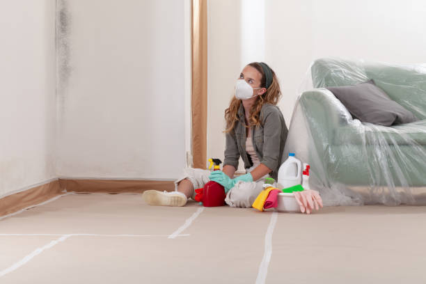 Reliable Mold Remediation contractor in Thornton, IL by WQB Mold Removal